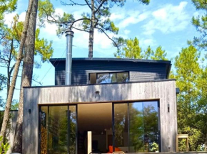 Maison dans les arbres, proche plage, cheminée, jardin, parking - FR-1-652-46